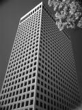 Occidental Petroleum Building
