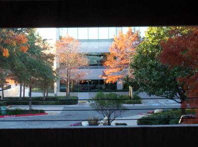 u37/lbogan/medium/24359336.Picture_1013.jpg