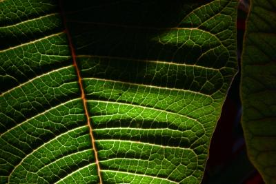 IMG_8579fix800x600.jpg