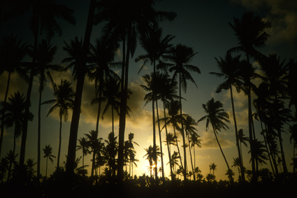 nature049_sunset.jpg