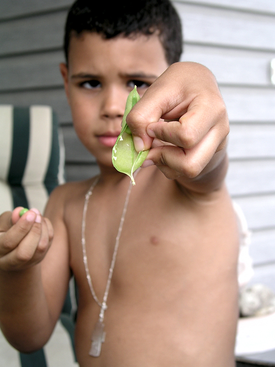 Pea Shuckin Joseph