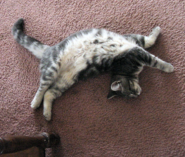 pretzel imitation
