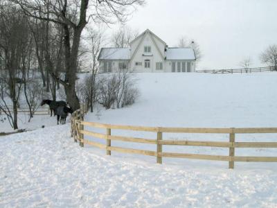 House in Snow 1.jpg