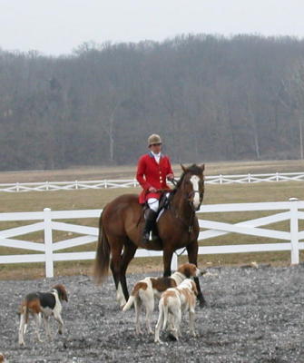 DSCN8564.JPG
