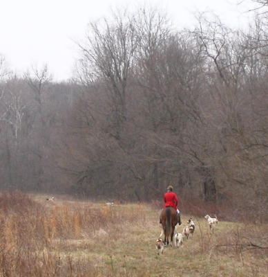 DSCN8600.JPG