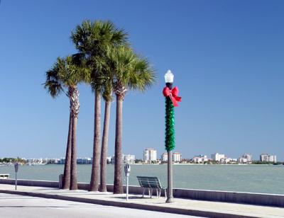 Garland and Palm Trees