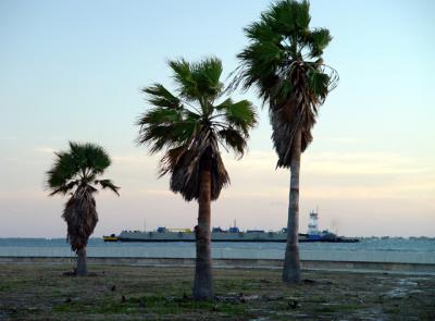 Fort DeSoto