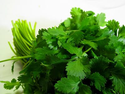 coriander - I love it and hate it