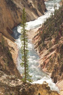 The yellowstone river canyon