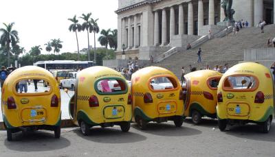 CocoTaxis - round little rears in a row....