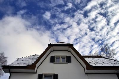 IMG07637.jpg
