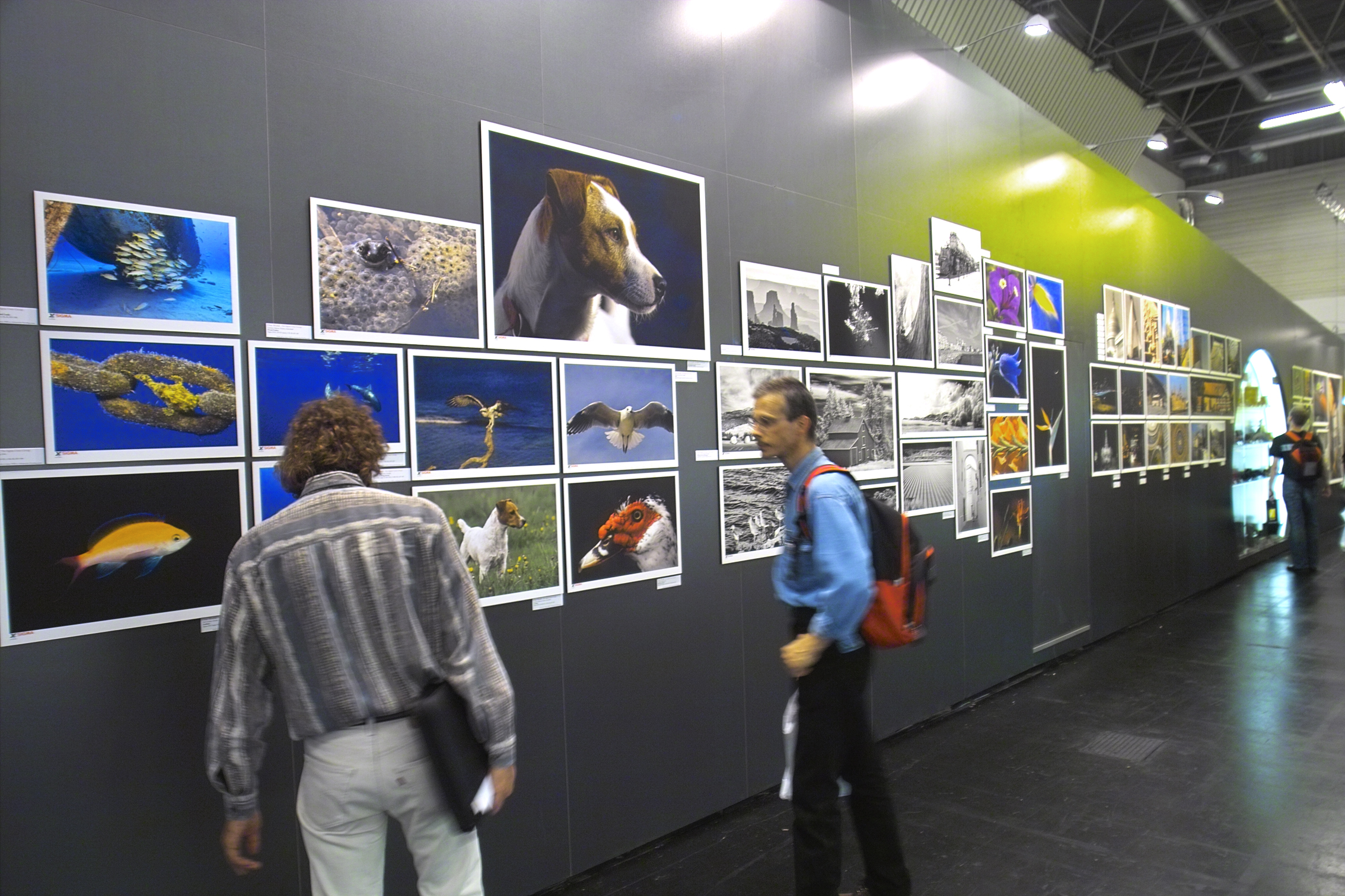 Gallery Wall