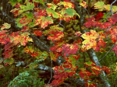 fall-04-m10280.jpg