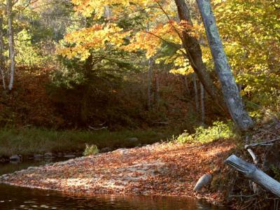 fall-04-m10323.jpg