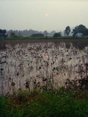 n040.jpg