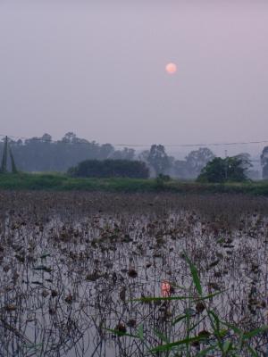 n081.jpg