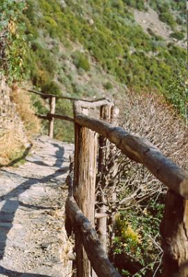 Italy_CinqueTerre36.jpg