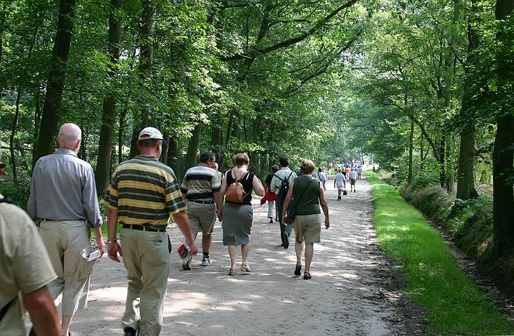 Turnhout - Stad in beweging - Knack Zomerwandeling