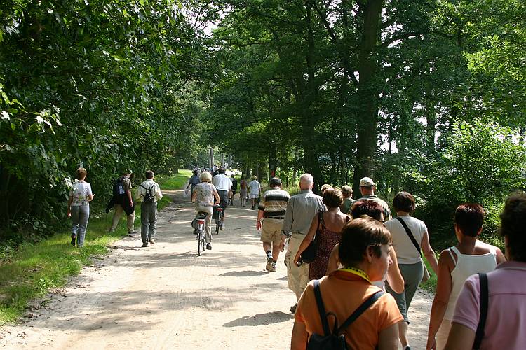 Turnhout - Stad in beweging - Knack Zomerwandeling