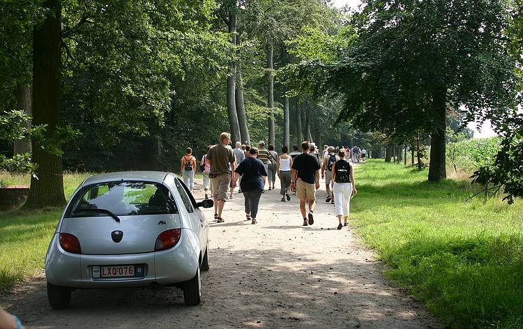 Turnhout - Stad in beweging - Knack Zomerwandeling