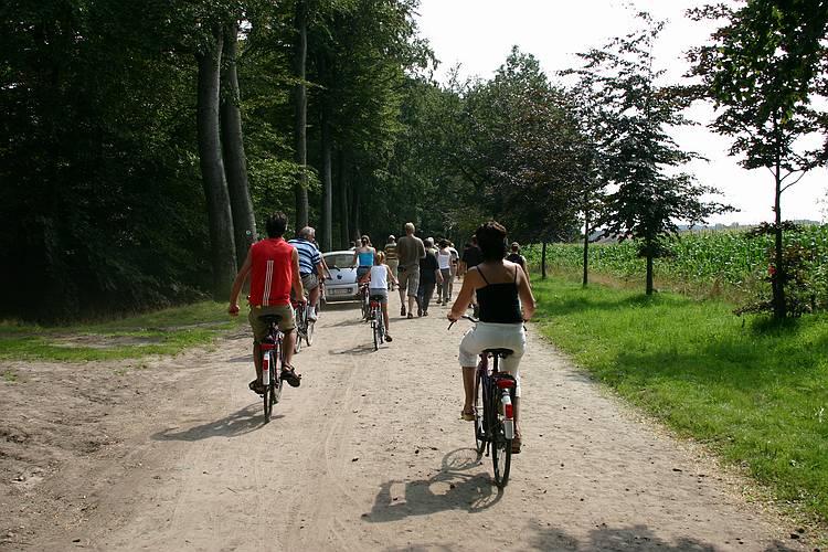 Turnhout - Stad in beweging - Knack Zomerwandeling