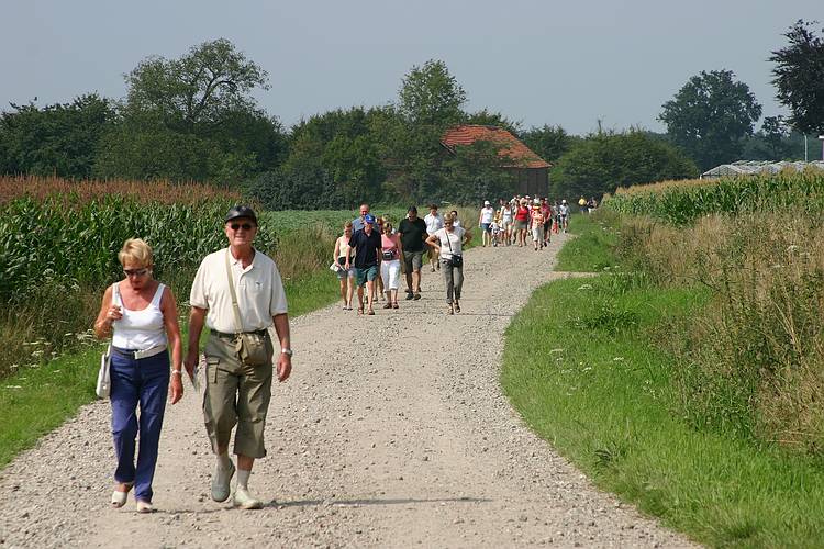 Turnhout - Stad in beweging - Knack Zomerwandeling
