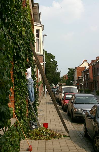 Turnhout - Stad in beweging - Knack Zomerwandeling