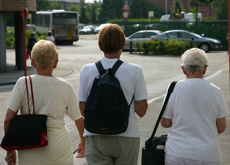 Turnhout - Stad in beweging - Knack Zomerwandeling