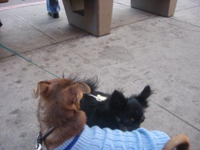 130-3068_IMG.JPG