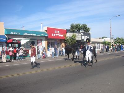 131-3113_IMG.JPG