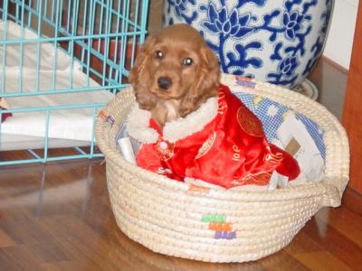 October 4, Dongdong in red