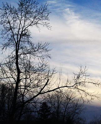 February Evening