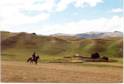Peruvian gaucho in green rolling landscape around Ayacucho
