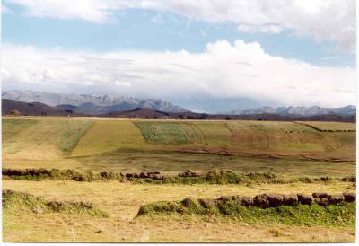 The fertile lands around Ayacucho