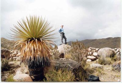 John admiring the Puya Raimondi fields