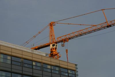 Crane