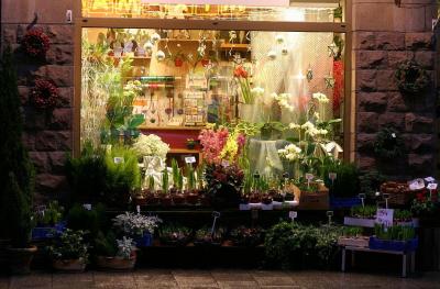 The flower shop