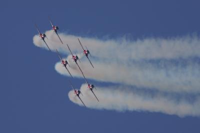 Snowbirds1.jpg