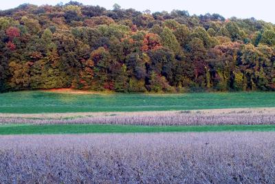 Early Fall PA