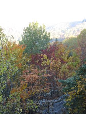 Img_0084.jpg