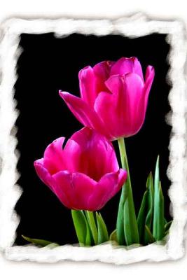 Two Tulips.