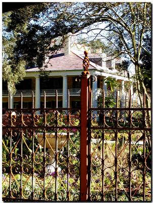 u37/marydoo/medium/23827111.Plantation1.jpg