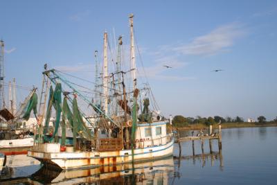 u37/masterrobert/medium/23874593.FishingBoats04.jpg