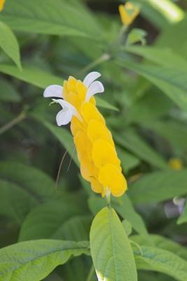 IMG01969.jpg