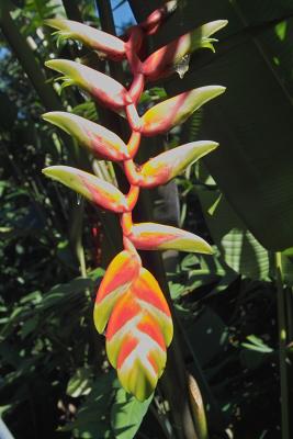 IMG02001.jpg
