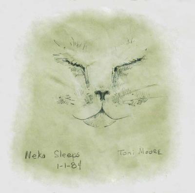 Pencil Sketch of my sweet shy Neko on new years morning 1984