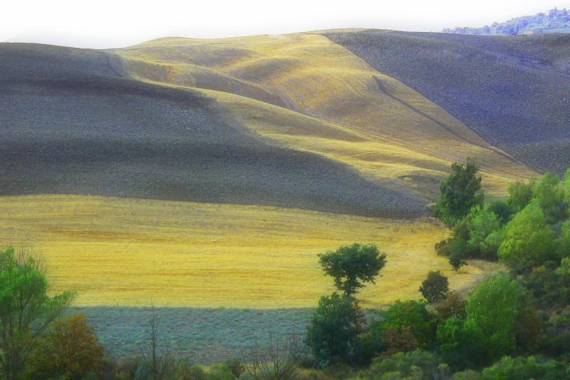Farmland near Pienza