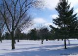Winter on Golf Course