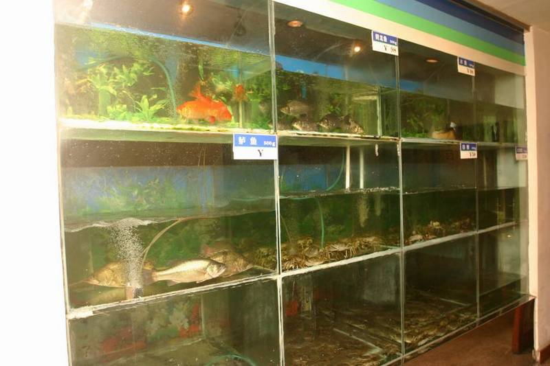 IMG_3737.jpg Seafood Restaurant