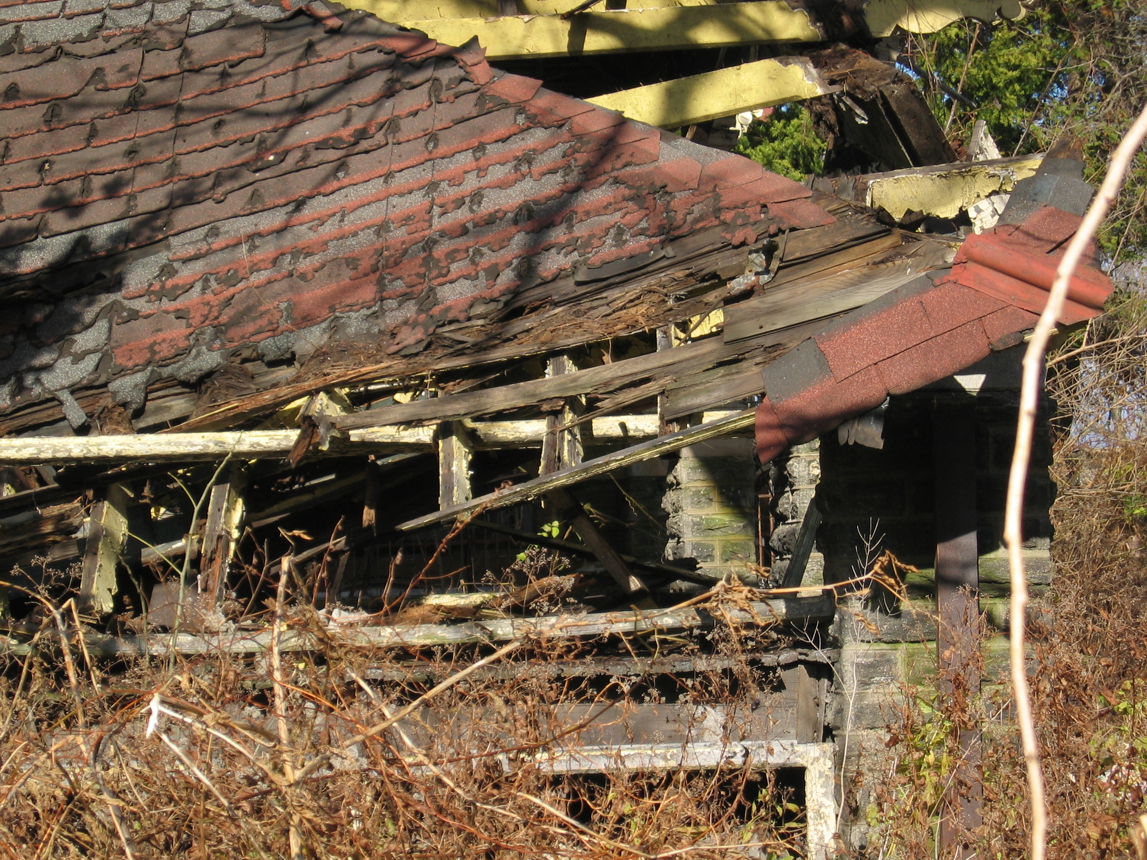 Porch roof with season-ending vegetation